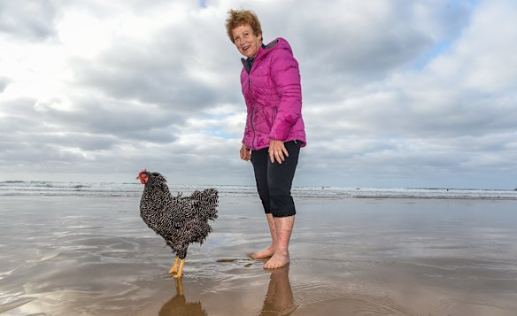 This chook takes to surfing 'like a duck to water'