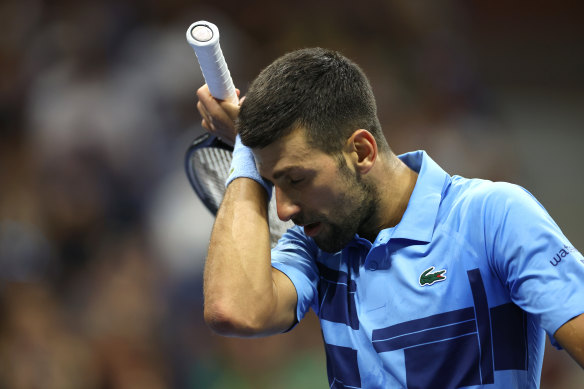 Under pressure:  Novak Djokovic was made to work by Alexei Popyrin.