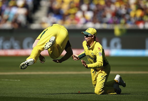 David Warner takes a tumble as he fields a ball while Steve Smith watches on.