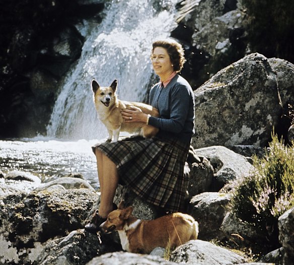 HM The Queen sitting on rocks beside a waterfall on the Garbh Allt burn with two corgis on the Estate at Balmoral Castle, Scotland during the Royal Family's annual summer holiday in September 1971.  Part of a series of photographs taken for use during the Silver Wedding Celebrations in 1972.   (Photo by Lichfield/Getty Images).