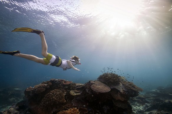 Lady Elliot Island, sometimes known as 'Manta Heaven', at the southernmost point of the Great Barrier Reef.