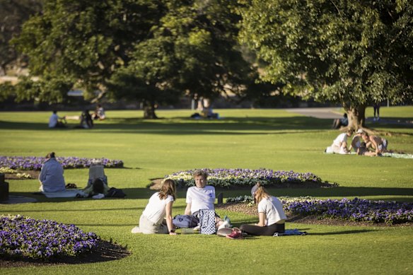 People enjoying spring picnics in the Botanic Gardens, Sydney, in the lovely Spring weather during COVID lockdown.