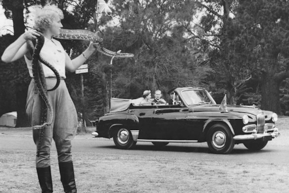 Queen Elizabeth II and the Duke of Edinburgh drive past Shirley Weston, holding two carpet snakes around her neck.