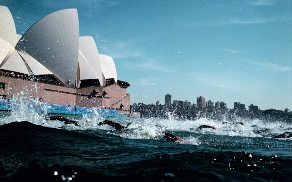 Competitors start the swim leg of the men's triathlon.