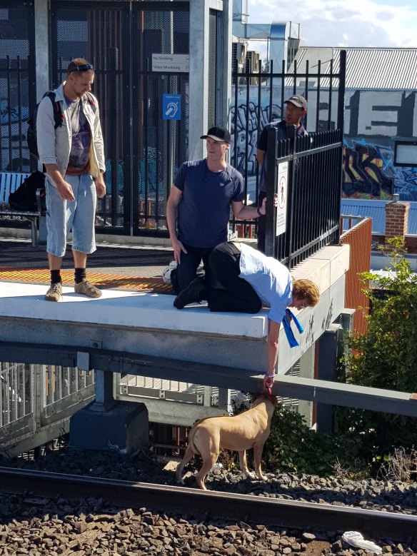 Several bystanders helped lift the dog onto the tracks and onto the platform at Balaclava Station.