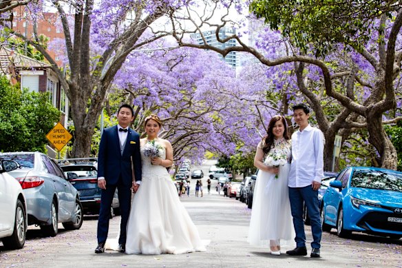 Mr & Mrs Kinarta, and Mr & Mrs Soegianto, both originally from Indonesia, are having wedding photos taken with under jacarandas trees in Kirribilli.