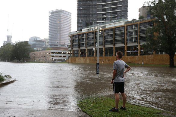 A man watches the rising Parramatta river with the Powerhouse Museum site in the distance.