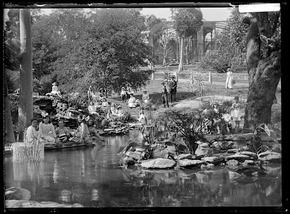 Ideal picnic resort, Taronga Zoo, 1916.