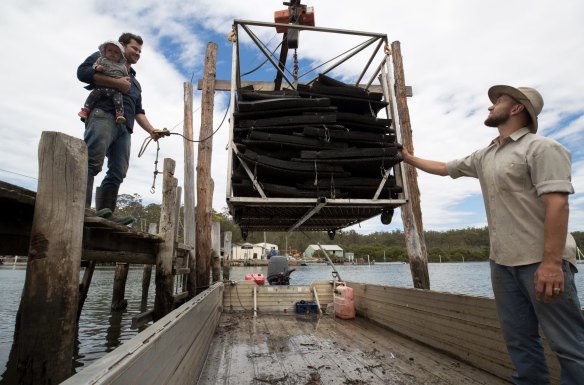 Oyster farmer, Ewan McAsh with his eight-month-old daughter, Ivy and his brother-in-law, Jason Finlay, bring in oysters to their shed on the Clyde River. 