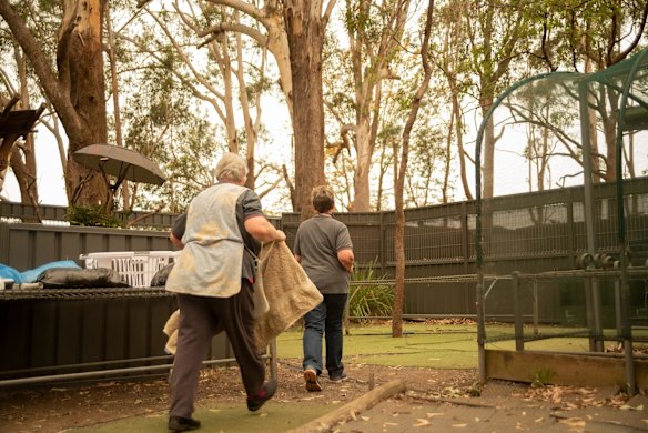 While some koalas are found relatively unscathed but now homeless, others are rushed to the centre with severe burns.
