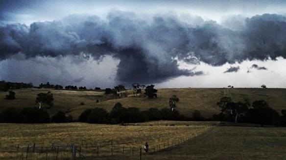 Melbourne storm: wild weather lashes Victoria