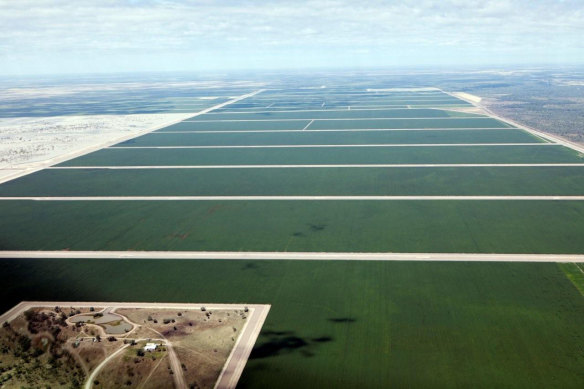 Cubbie Station in Queensland, the biggest user of water in Australia. 