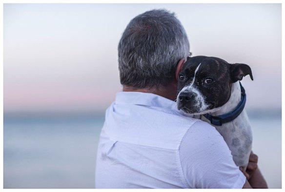 Miss Maudie at Port Melbourne beach in the arms of owner Neil McMahon