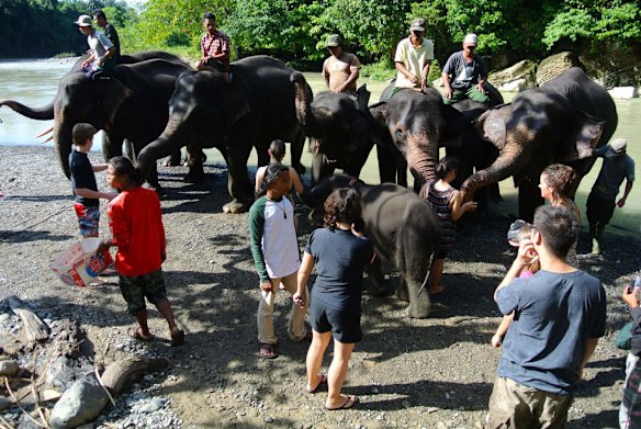 Tourists interact with the elephants in Tangkahan, North Sumatra.
