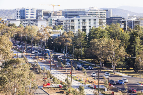 Northbourne Avenue is set to be transformed in the coming years on the back of the light rail project.