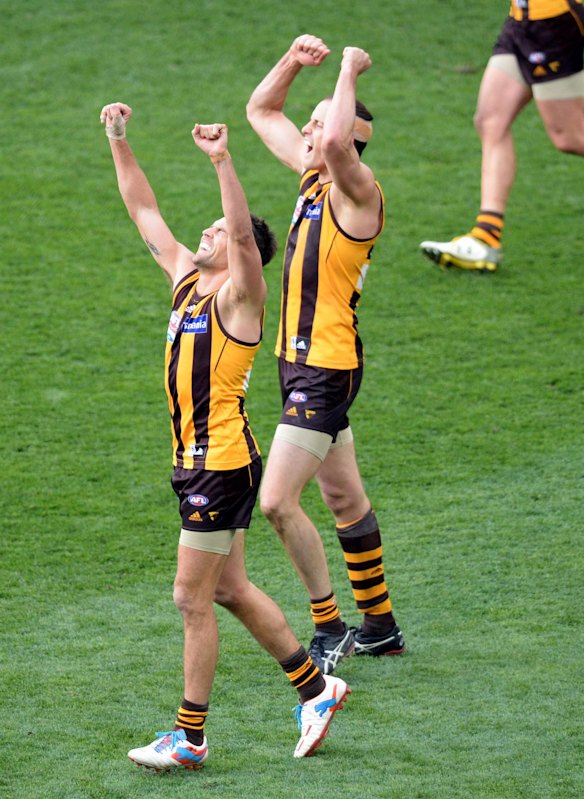 Hawthorn champion Luke Hodge announces he will retire