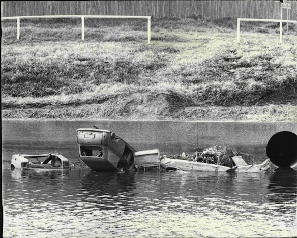 Dumped cars lying in the Cooks River alongside Canterbury Race. September 13, 1974. 