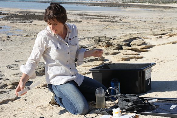 Testing groundwater for the secret of the stromatolites. 