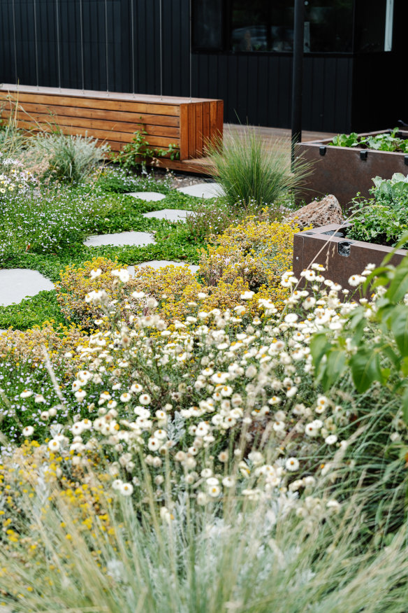 There are no areas of bare soil in this Melbourne front garden designed by Emmaline Bowman.