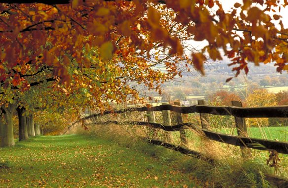 The world's top 10 best places to see autumn leaves and colours