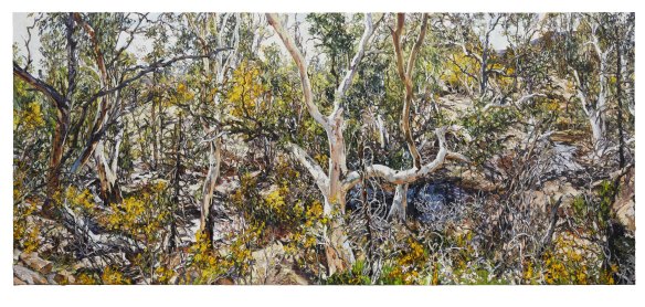 Nicholas Harding’s Wilpena Pound and Eucalyptus (Sliding Rock) (2019-20).