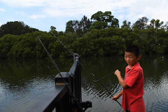 Andrew Li, 10, puts bait on one of his rods whilst fishing on the Cooks River at Boat Harbour in Hurlstone Park, Sydney.