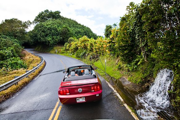 Driving the road to Hana, Maui, Hawaii.