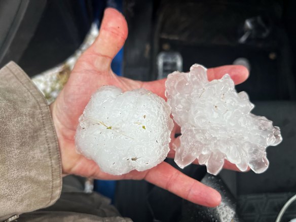 Giant hail recovered and measured from north of Bourke during severe storm outbreak.
29 September, 2021.