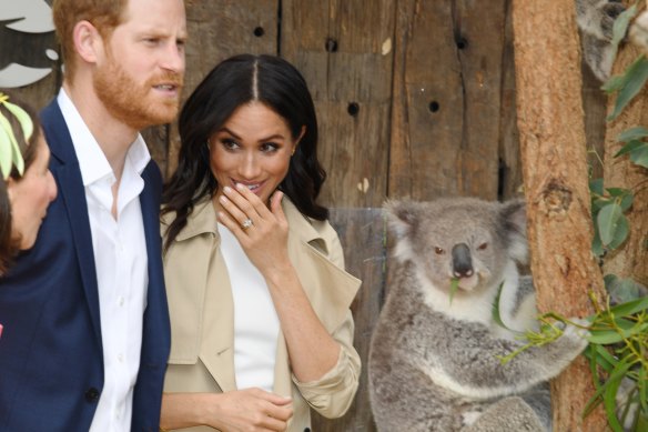Harry and Meghan meet koalas at Taronga Zoo.