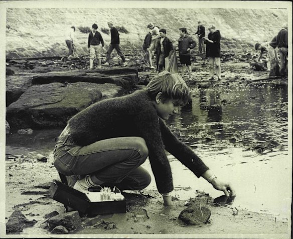 David Armstrong testing the oxygen content of the water in Berry's Bay. A group of boys from Shore school took part in a big clean-up along the foreshores of Berry's Bay. The boys gathered all the tin cans on the bench and also took readings on the pollution in the water. May 27, 1972.