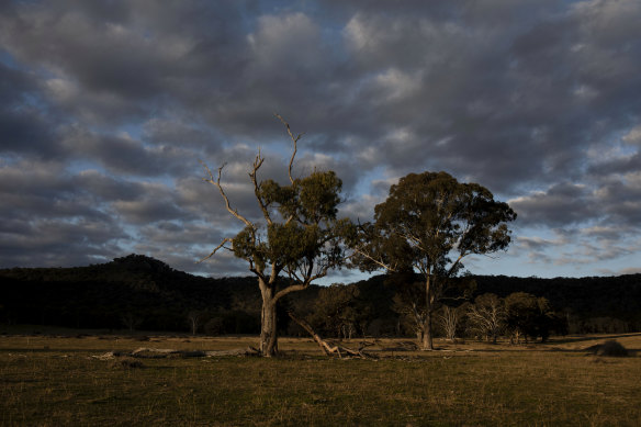 Cox Creek near the Wollemi National Park has been designated one of the new regions to be opened up for coal mining in NSW.