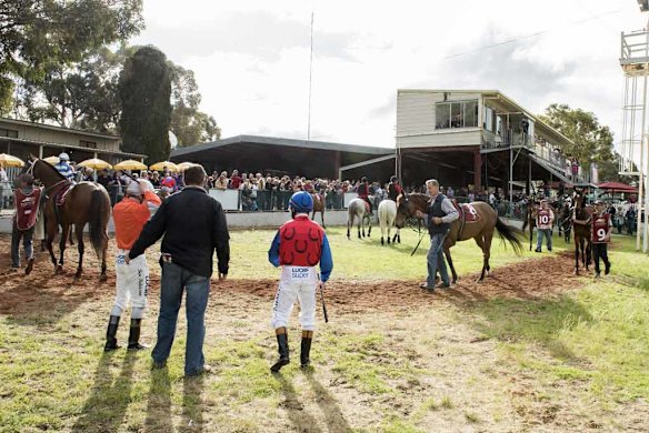 Toodyay Picnic Race Day