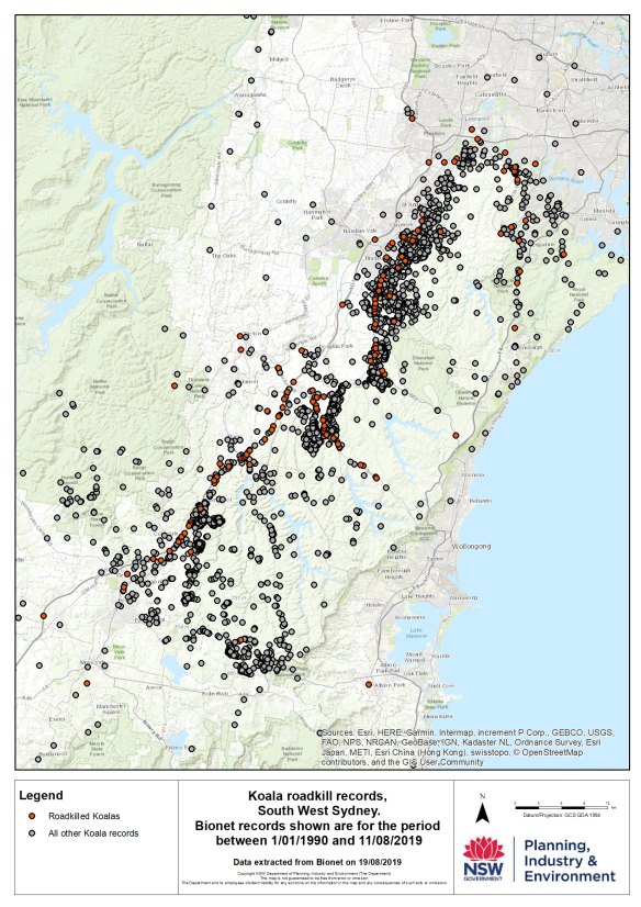 Koala roadkill locations in south-western Sydney.