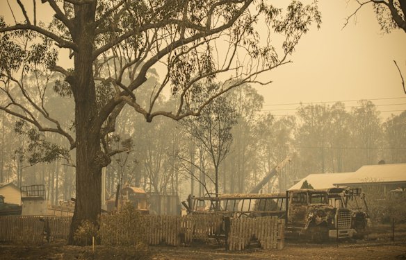 Destruction within the Carrai East fire ground at Willawarrin.