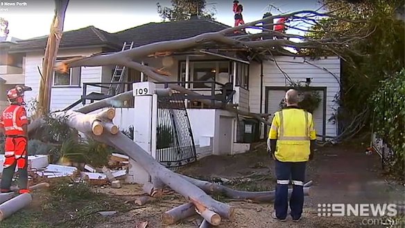 A tree fell on a house in Mosman Park.