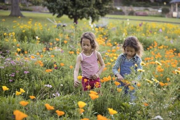 Twins Gabriel and Camille, of Forest Lodge, enjoying the Wildflower Meadow at the start of Spring in Sydney, during COVID lockdown.