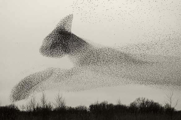 Black Sun #128, The Netherlands.