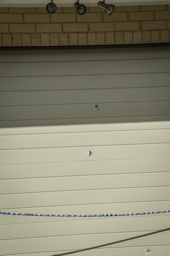 Police officers and forensic staff attend the scene of an overnight shooting and arson attack in Harrington circuit, Kambah. Numerous bullets have hit the home and three vehicles have been set alight. 