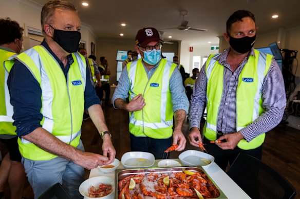 Anthony Albanese at Tassal's Prawn farm in Proserpine with Queensland Labor senator Murray Watt and Labor's candidate for Dawson Shane Hamilton.