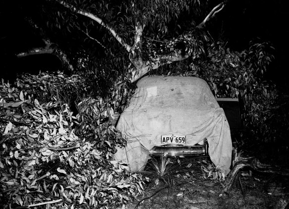 Another view of Simmond's camouflaged car on November 5, 1959.