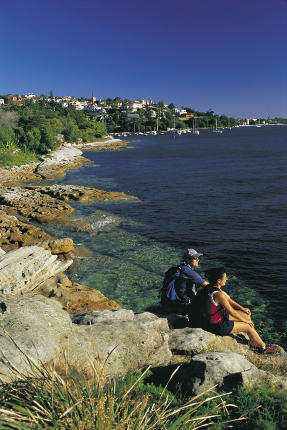 The Hermitage Coastal walk, somewhere between Rose Bay and Nielsen Park.