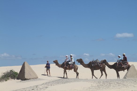 From cycling along coastal tracks to wildlife watching, here are 20 of the best reasons to visit Port Stephens.