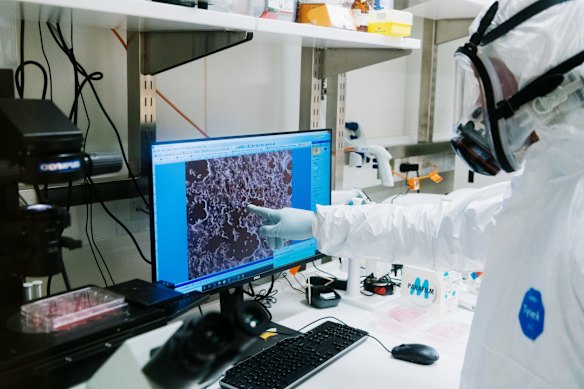 The lab’s head, Associate Professor Stuart Turville, just finished work on B.1.617.1, the first Indian variant to draw concern. “It’s evasive. But not as evasive as the South African variant,” he says. The second Indian variant, B.1.617.2, is growing in cells right now. “On Monday, we’ll know,” he says.