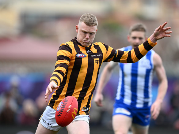 Hawthorn defender James Sicily has claimed his maiden Peter Crimmins medal.