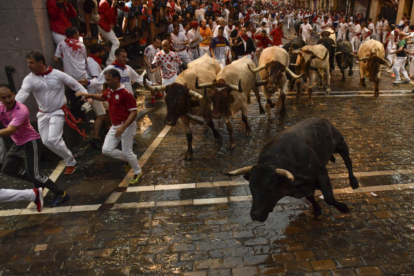 Investors are often attracted to positive momentum and take comfort in the consensus view but there are dangers in running with the herd.