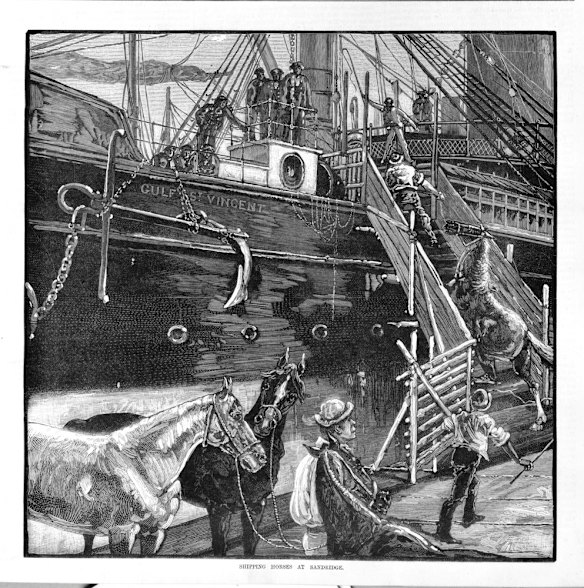 Port of Melbourne.Shows horses bound for India being loaded onto the Gulf of St. Vincent at Port Melbourne. September 24, 1883 Credit: Alfred Martin Ebsworth/State Library of Victoria