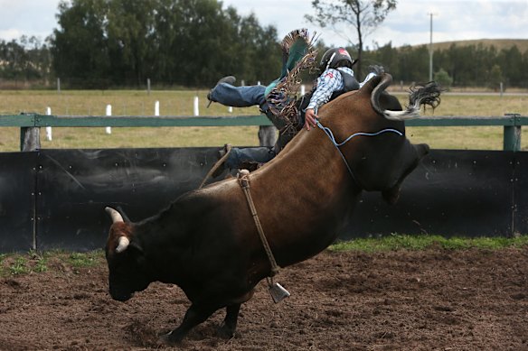 Photos of the week