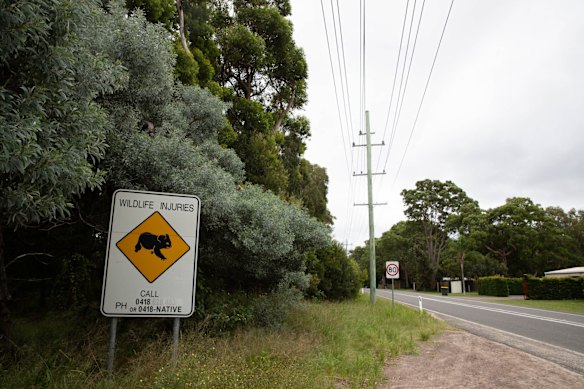 A sign in the Port Stephens region. The local population of koalas is under stress due to development and loss of habitat. 