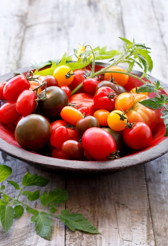 A rainbow of summer tomatoes.