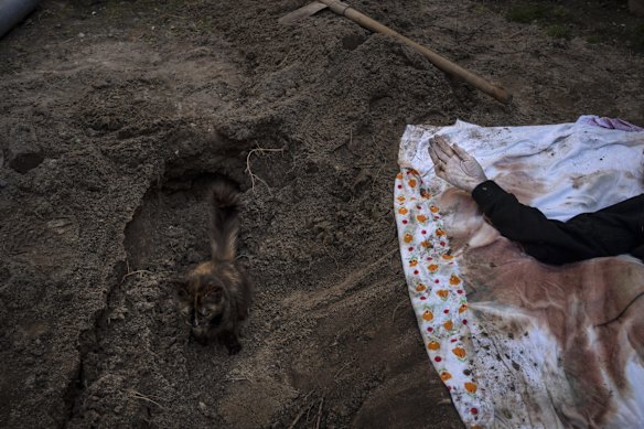 A cat rests inside the grave of Lyudmyla Kononuchenko, 51, who was buried by family and friends after being hit by a rocket on March 23 during the war with Russia, in Irpin, on the outskirts of Kyiv. Kononuchenko's body was exhumed from her yard and taken to the morgue for analysis.